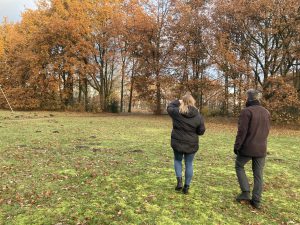 Boombehoudbeleid vanuit Programma ‘Groen in de Kernen’
