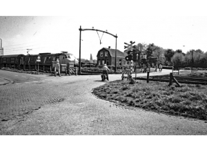 Actieve, actuele, digitale Bomenkaart van groot belang