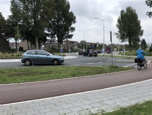 Aanvraag omgevingsvergunning voor kappen van 82 bomen