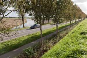 Provincie gaat ruim 300 bomen planten