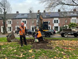 Tilburg vervangt dode en omgewaaide bomen