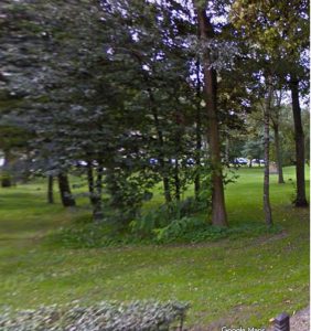 Beeldbepalende boom tegen de vlakte