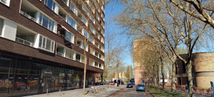 Over haperend OV, de keerlus en bomen van Harderwijk