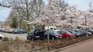 Onderzoek natuur nodig voor uitbreiding parkeerterrein Westeinde