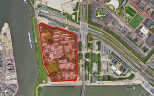 Amsterdam gaat bouwen en dus moeten 432 bomen verdwijnen