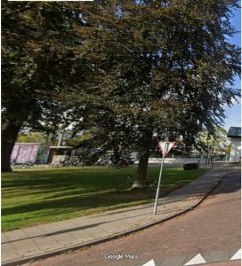 Aan Stationsstraat in Vught zijn 6 bomen illegaal gekapt