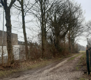 Kap van 15 beeldbepalende bomen