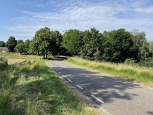 Er worden meer bomen gekapt dan men heeft aangegeven