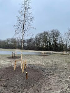 Bos als Herdenkingsbos groeit