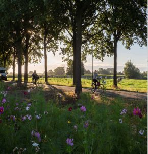 Groenbeleidsplan gemeente Hilvarenbeek