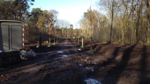 Kap van kerngezonde bomen in het bos Nimmerdor