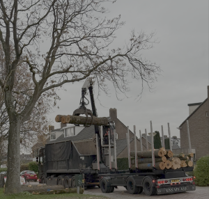 Ook in Leiderdorp worden bomen gekapt
