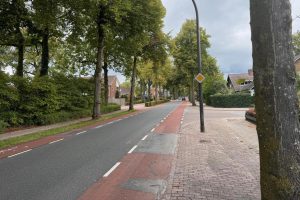 Bomen moeten verdwijnen om weg breder te maken en gebied groener