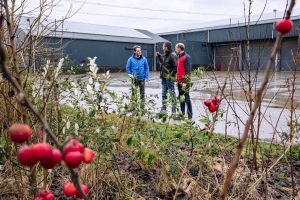 Tweede editie project ‘Elke boom telt in de Hoeksche Waard’