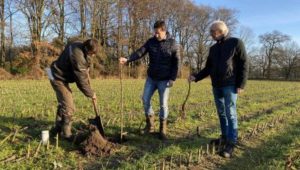 Bezwaar van omwonenden tegen kap van 137 bomen