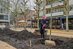 Middenstrook Kwinkenplein heeft bomen gekregen
