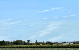 Groen in de Politiek in Dongen