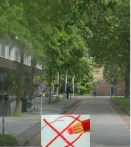 Groen in Harderwijk en de politiek