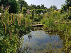 Behoud van showtuin Eco-Care – Loek Gorris op de Kaardebol
