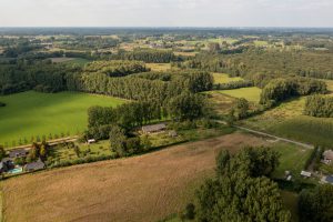 De leembossen van Het Groene Woud