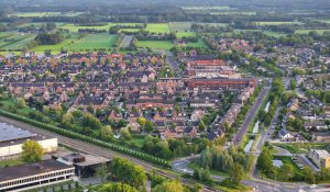 Bomenbeleid van gemeente en de Groene Kaart