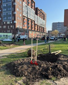 Nieuwe bomen voor Poptapark middels Crownfunding