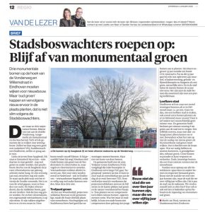 Drie monumentale bomen worden verplaatst