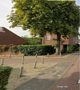 Vergunning verleend voor kap van 16 bomen op verschillende locaties