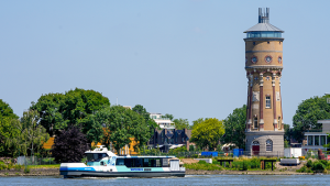 Tenminste 8 locaties Zwijndrecht zijn bomen gekapt