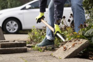 Samen wordt de gemeente groener gemaakt