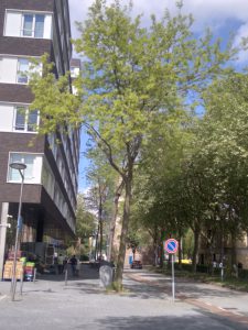Gemeente neemt besluit Bezwarencommissie over