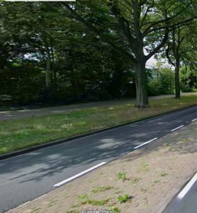 Gemeente geeft vergunning voor de kap van 15 bomen