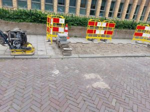 Gekapte bomen worden vaak niet vervangen