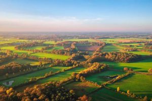 Oost Gelre wil minstens 30.000 bomen planten in de komende 4 jaar