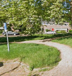 Arnhem gaat massaal bomen planten tegen warmte
