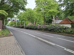 Snoeien van de Rododendrons om verspreiding plantenziekte te stoppen