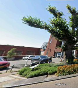 Boom verliest deel karakteristieke kroon