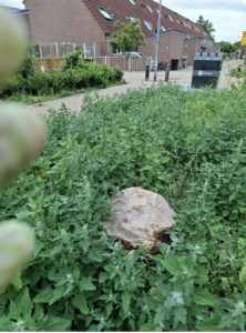 Maaibeleid roept in vele gemeenten vragen op