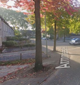 Forse Esdoorns moeten verdwijnen om worteldruk
