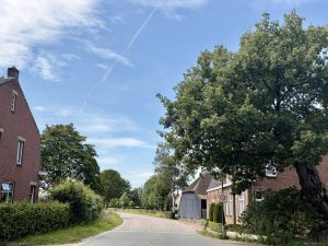 Laatst overgebleven ‘Heilige Eik’ krijgt ondersteuning