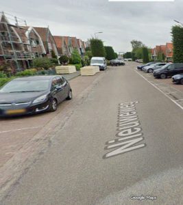 Gemeenteraad roept via motie op tot sparen Coniferen