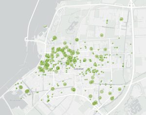 Goed boombeleid en -beheer begint met actuele kaart en transparantie