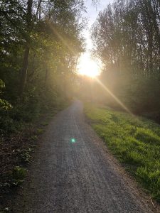 Politiek stelt vragen over onderhoud en toekomst van Tuikwerderrakbos