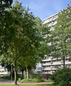 Inwoner meldt dat er nogal wat bomen mogelijk gekapt gaan worden