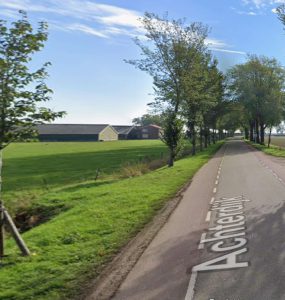 Meerdere waarschuwingen voor Iepziekte maar niet adequaat gekapt