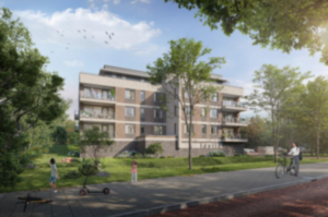 Voor de komst van bouwkraan moeten 2 bomen verdwijnen