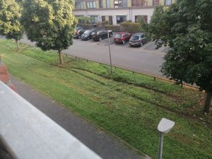 Minder maaien zou het beleid zijn, maaien met sporen