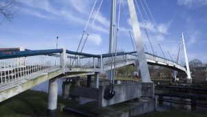 Gemeente verleende vergunning voor kap 96 bomen voor nieuwe brug