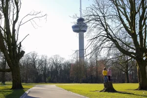 Meerdere bomen gekapt, maar rechter legt kap stil