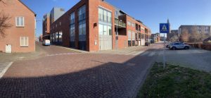Lindebomen moeten het onderspit delven in de Molenstraat